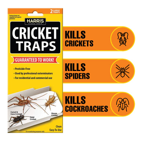 HARRIS Cricket Glue Traps top-tab mechanism in action for fast setup