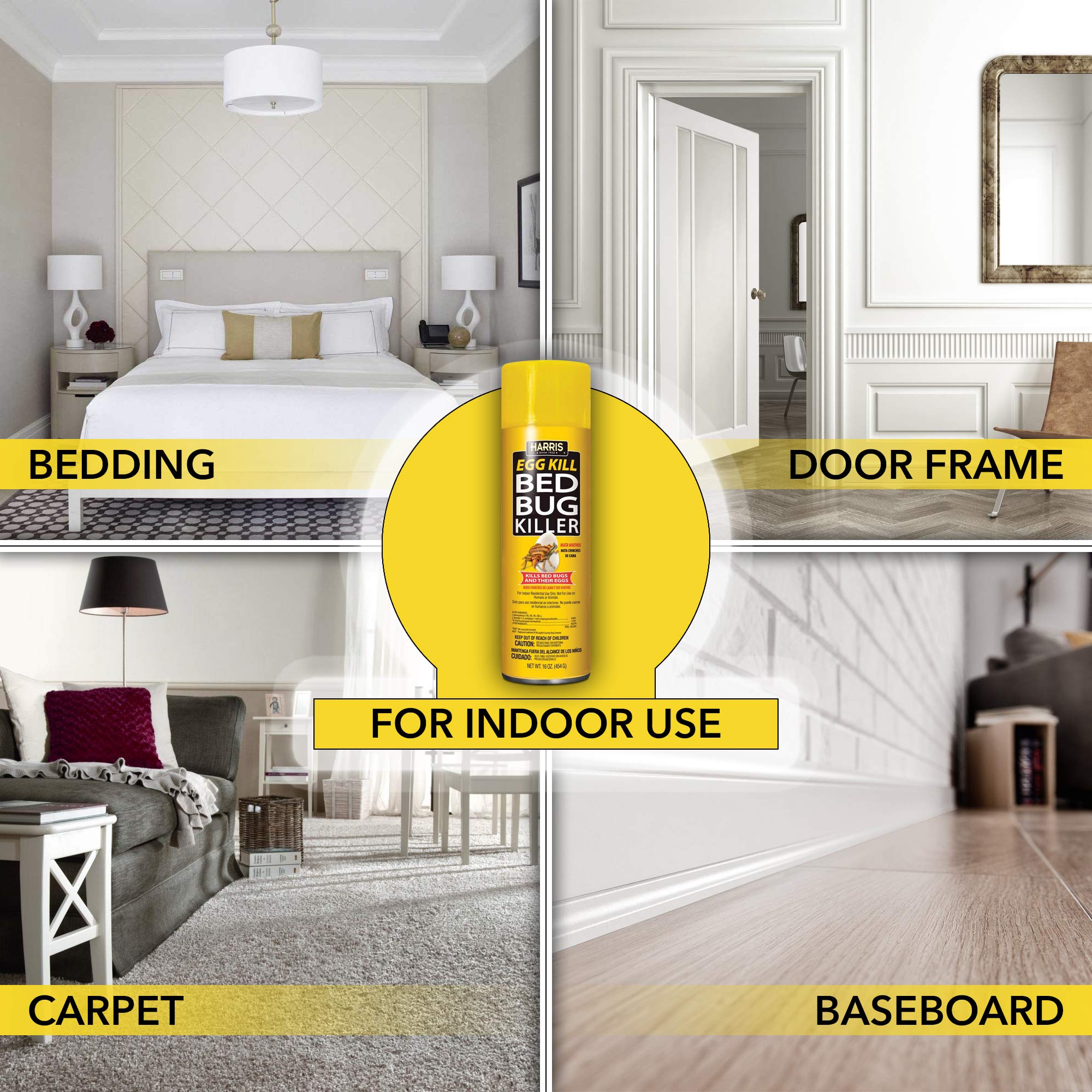 High-pressure spray reaches deep into cracks and crevices in walls