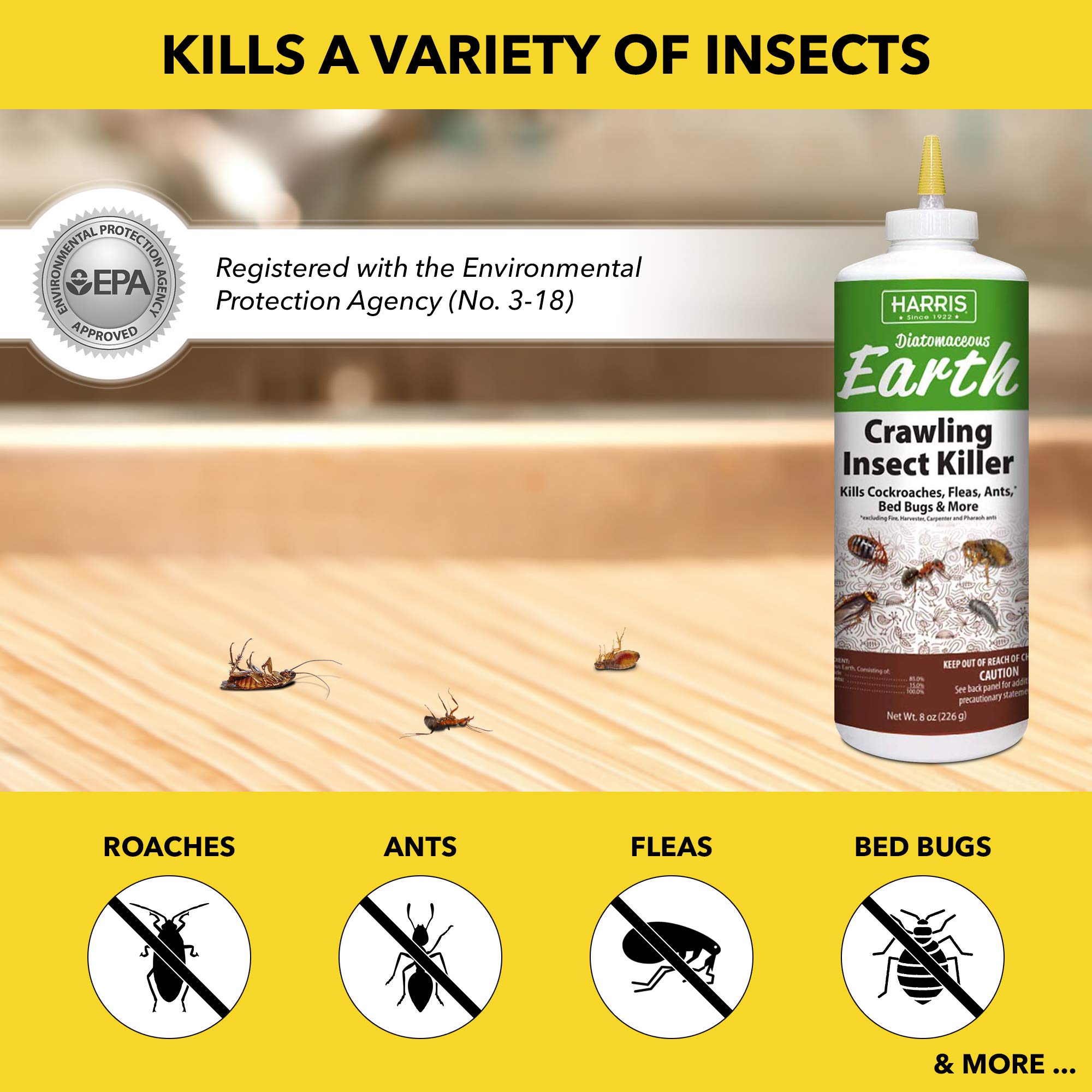HARRIS diatomaceous earth dust on bed bugs promotes dry exoskeleton disruption.