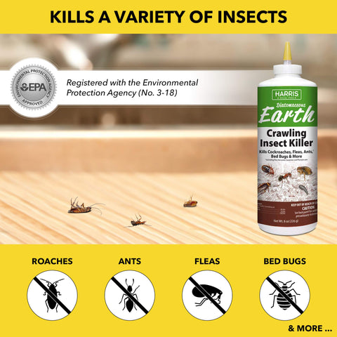 HARRIS diatomaceous earth dust on bed bugs promotes dry exoskeleton disruption.