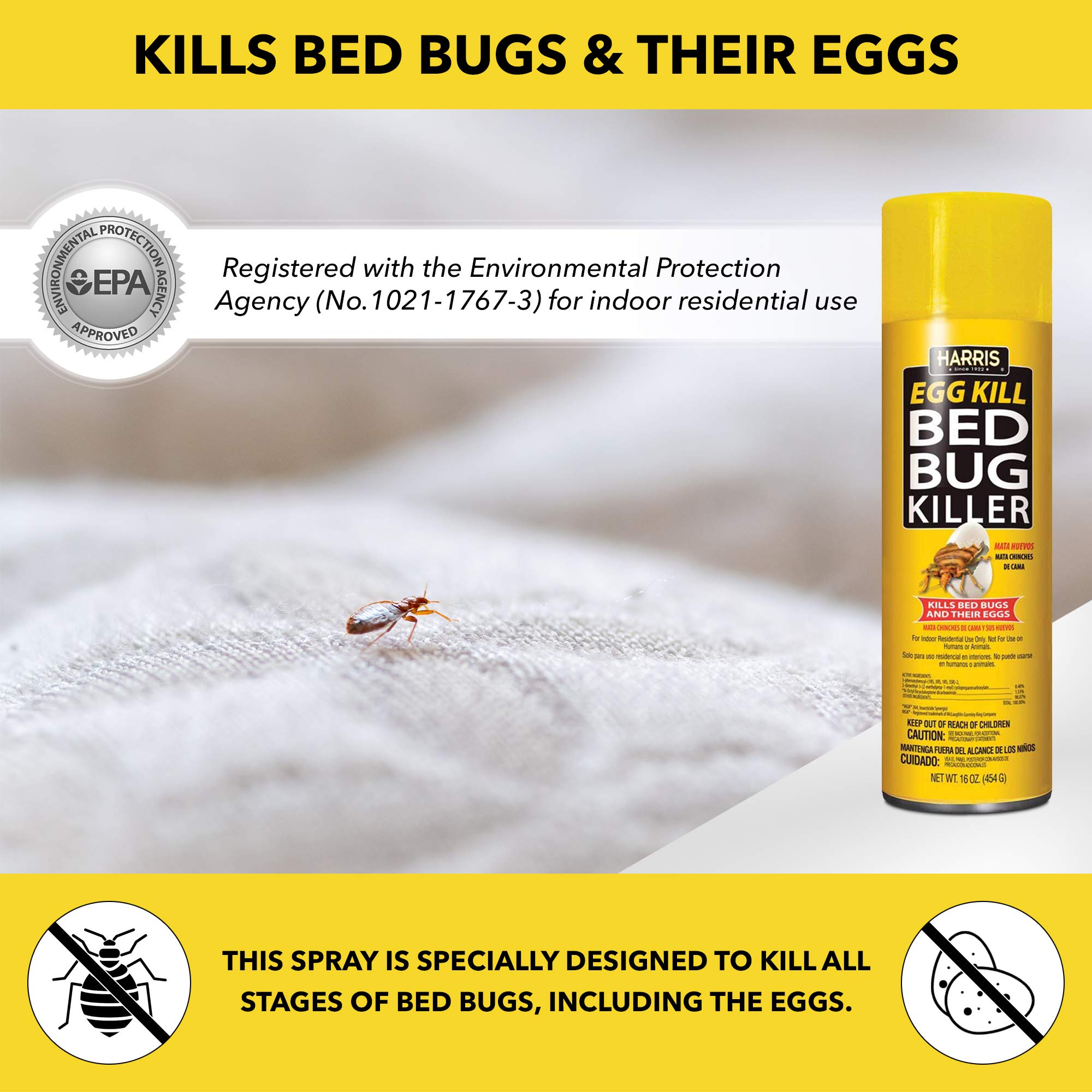 EPA-registered indoor use spray for surface treatment