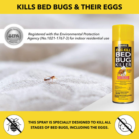 EPA-registered indoor use spray for surface treatment
