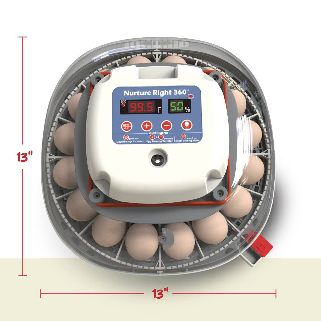 Harris Farms Nurture Right incubator ideal for education and hobbyist hatching experiences.