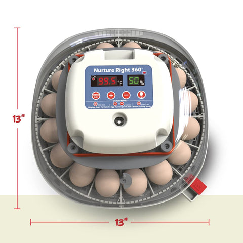 Harris Farms Nurture Right incubator ideal for education and hobbyist hatching experiences.