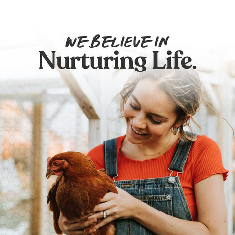 Harris Farms Water Cups support clean hydration in small poultry setups