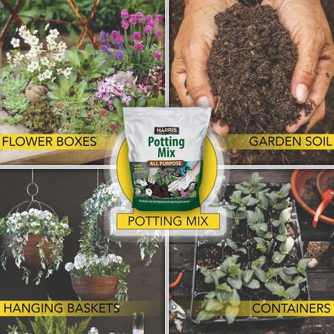 HARRIS hanging basket setup using the mix for lush blooms