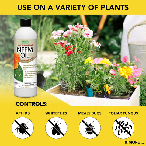 Harris neem oil concentrate shows 3-in-1 pest, disease, and mite control.
