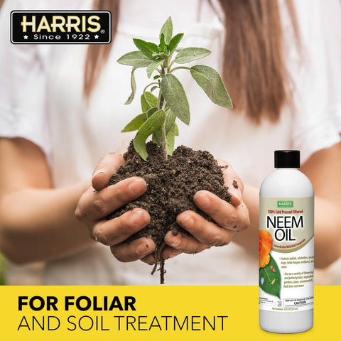 Cosmetic-grade Harris neem oil with antioxidants for skin and hair prep.