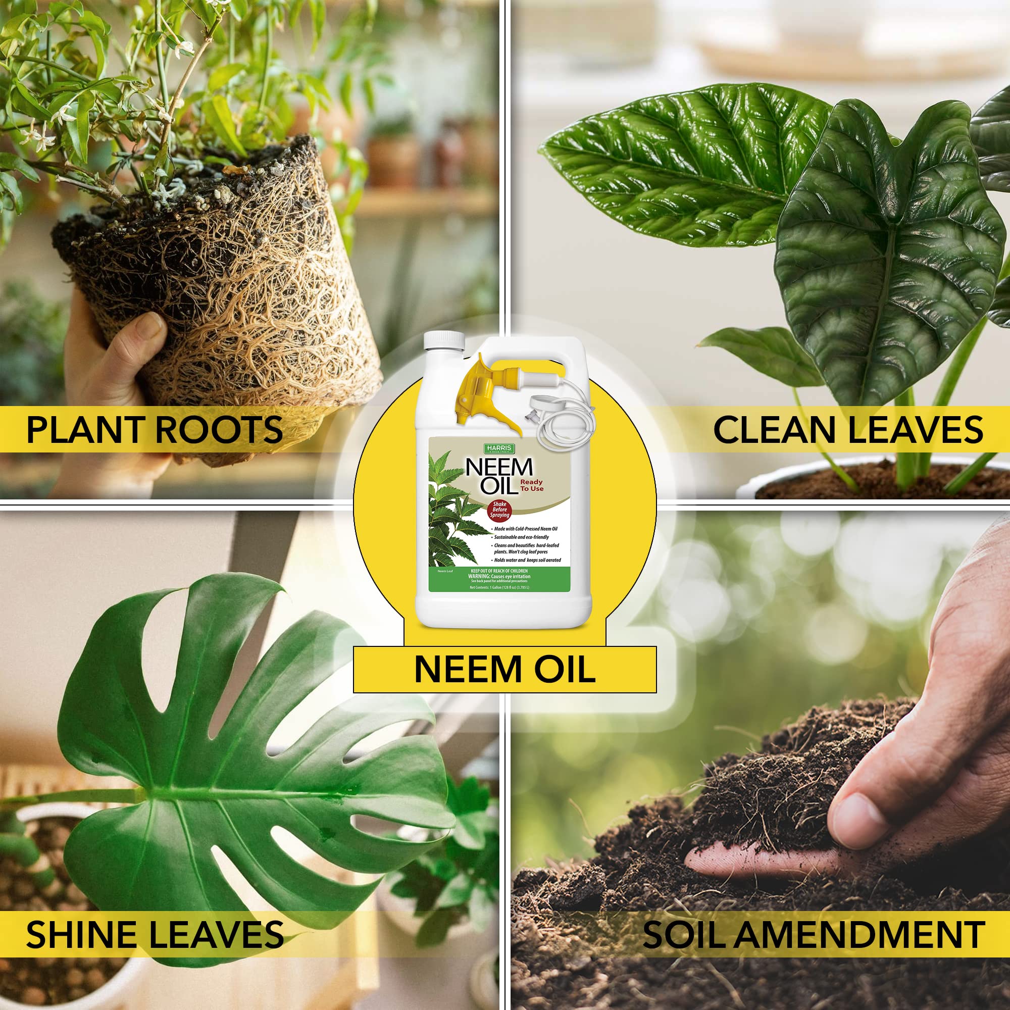 Close-up of leaves gleaming after HARRIS Neem Oil Spray application