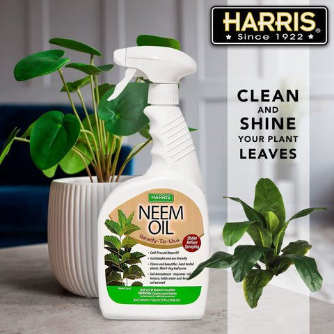 HARRIS Neem Oil Spray being applied on outdoor plants for broad coverage.