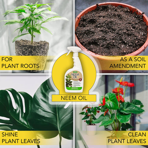 2% neem oil with eco-friendly emulsifier for sustainable plant care.