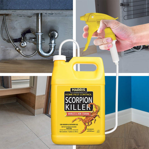 HARRIS Scorpion Killer extended trigger sprayer targets hard-to-reach scorpion hiding spots.