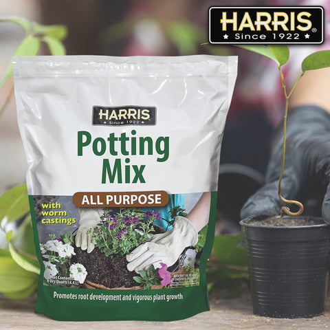 HARRIS soil poured into planter to show drainage and aeration