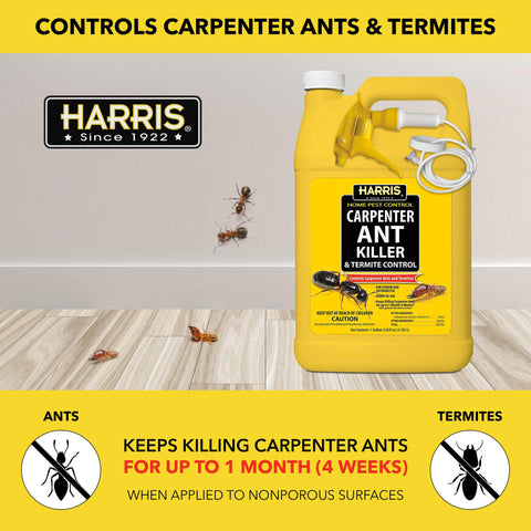 HARRIS Termite Control outdoors application around foundations.