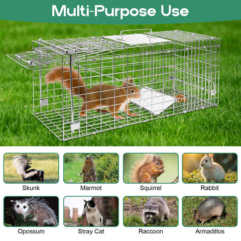 HARVANCO Humane Live Trap foldable design for easy storage after use.