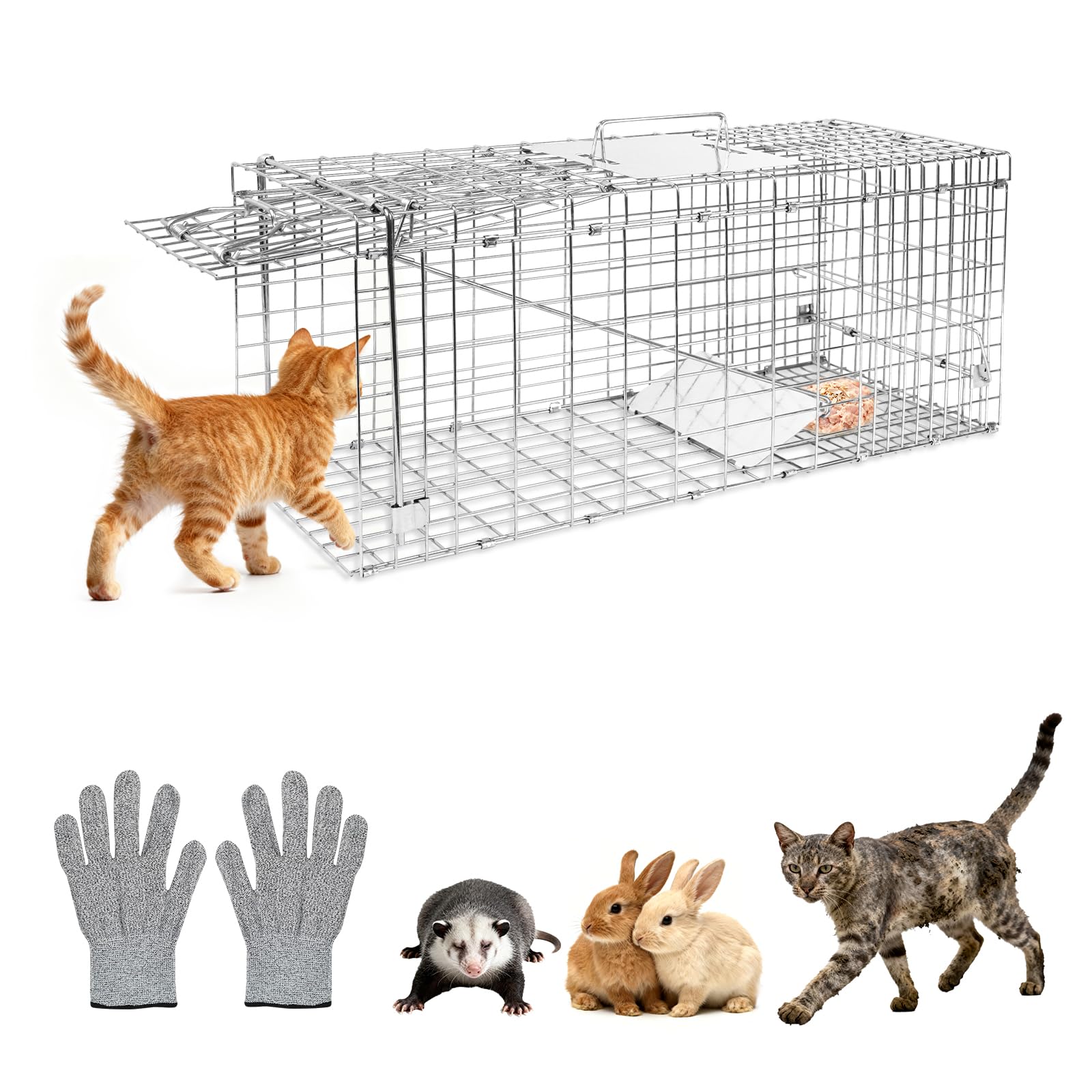 HARVANCO Humane Live Trap trap setup for quick baiting and safe release.