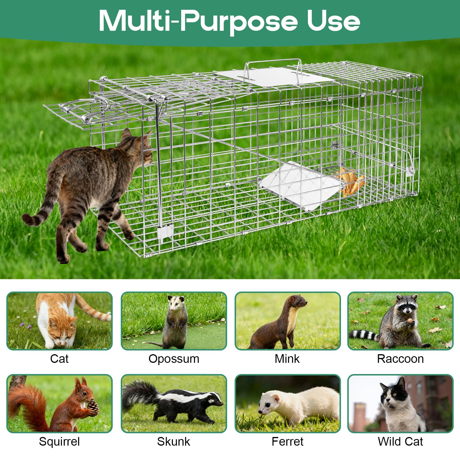 Harvanco humane live trap baiting area highlights simple setup and effective luring.