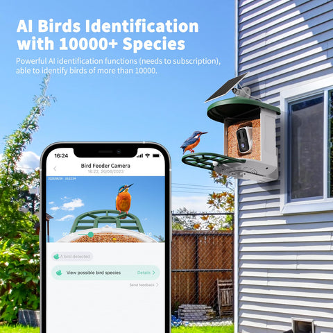 HARYMOR AI bird identification identifies species from video.