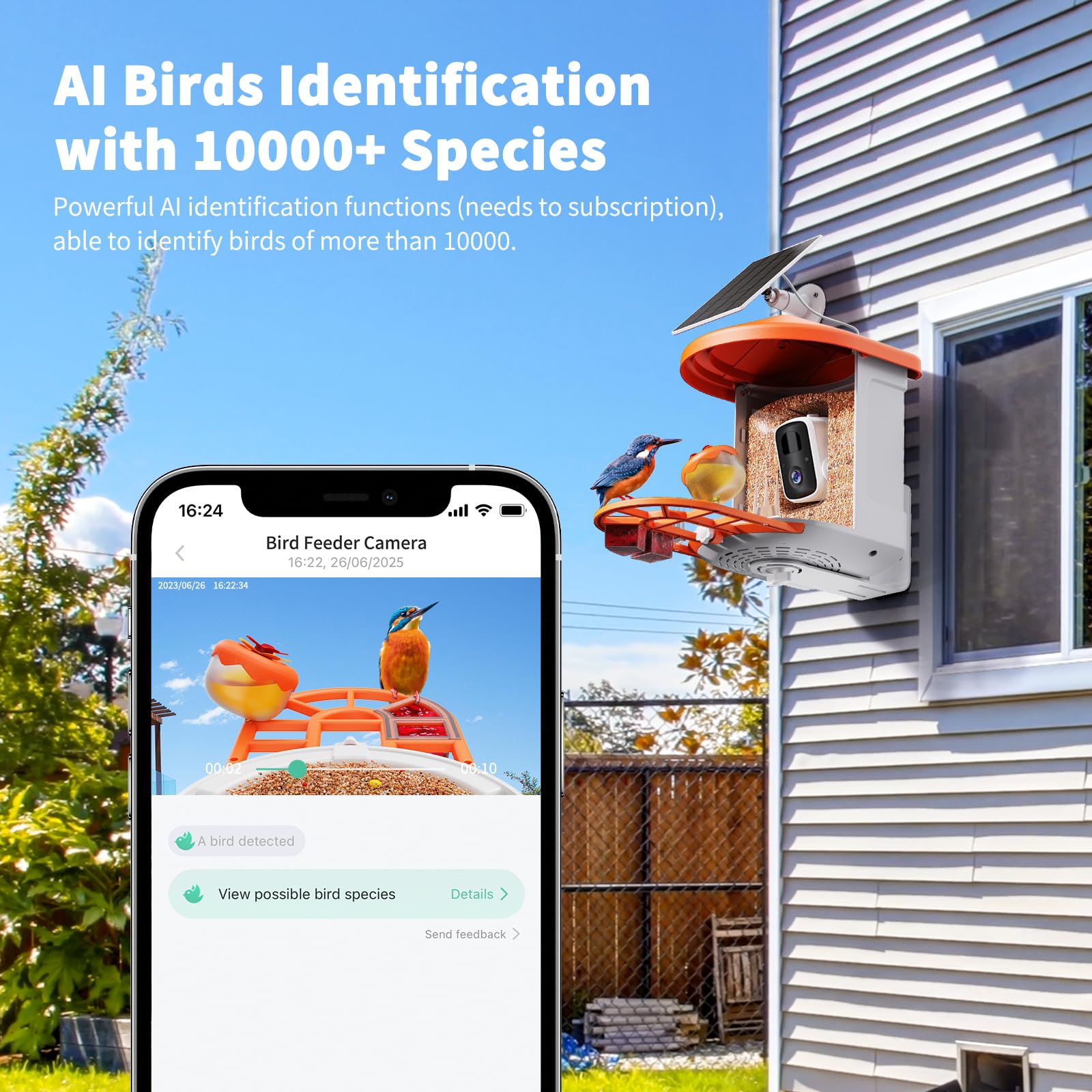 HARYMOR Arrival notifications show real-time bird snapshots and alerts.
