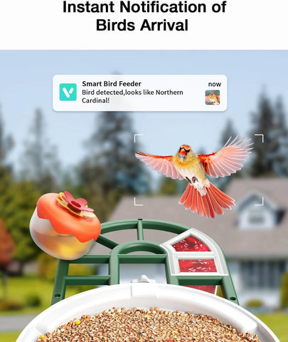 HARYMOR Bird Feeder holds 2 liters to minimize refills during busy birdwatching