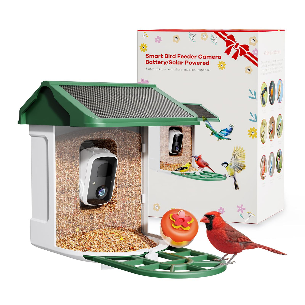 HARYMOR Bird Feeder with Camera delivers 2K live feed for real-time backyard birdwatching