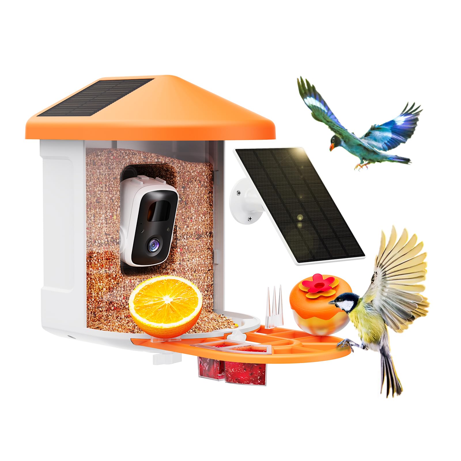 HARYMOR Bird Feeder Camera with AI identification for learning species.