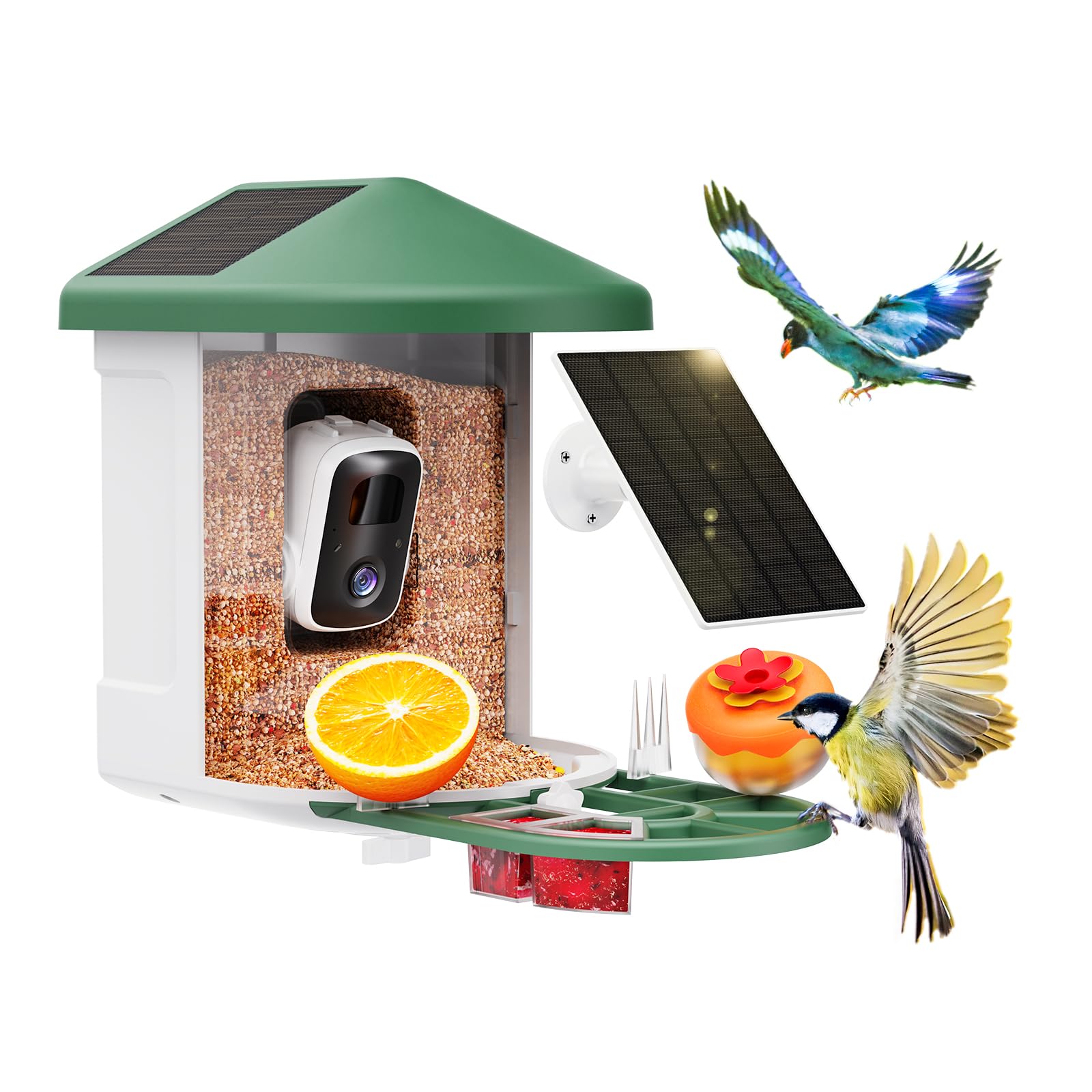 HARYMOR bird feeder camera installed in the garden, capturing birds clearly.
