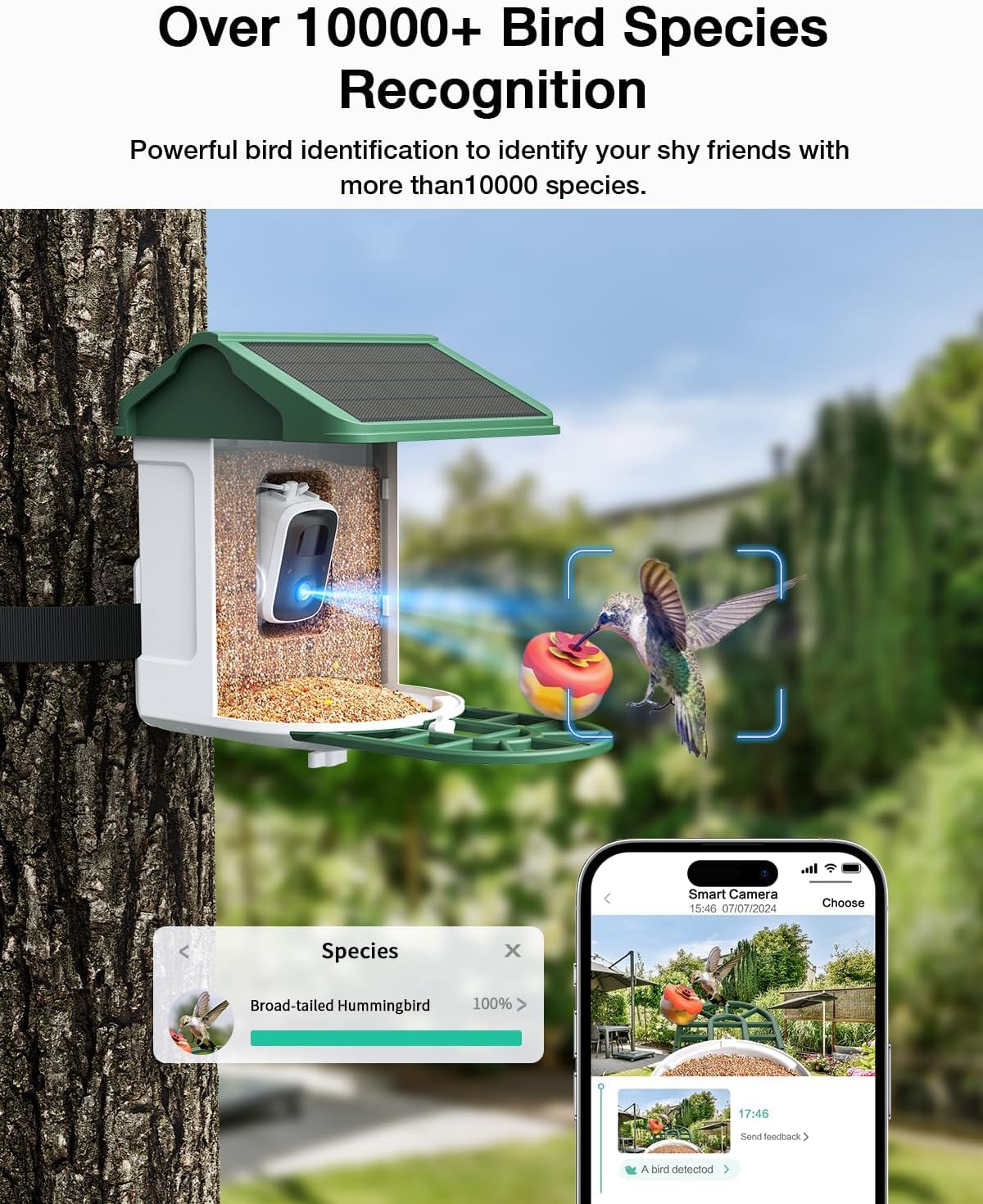 HARYMOR solar-powered bird feeder provides eco-friendly energy and year-round viewing
