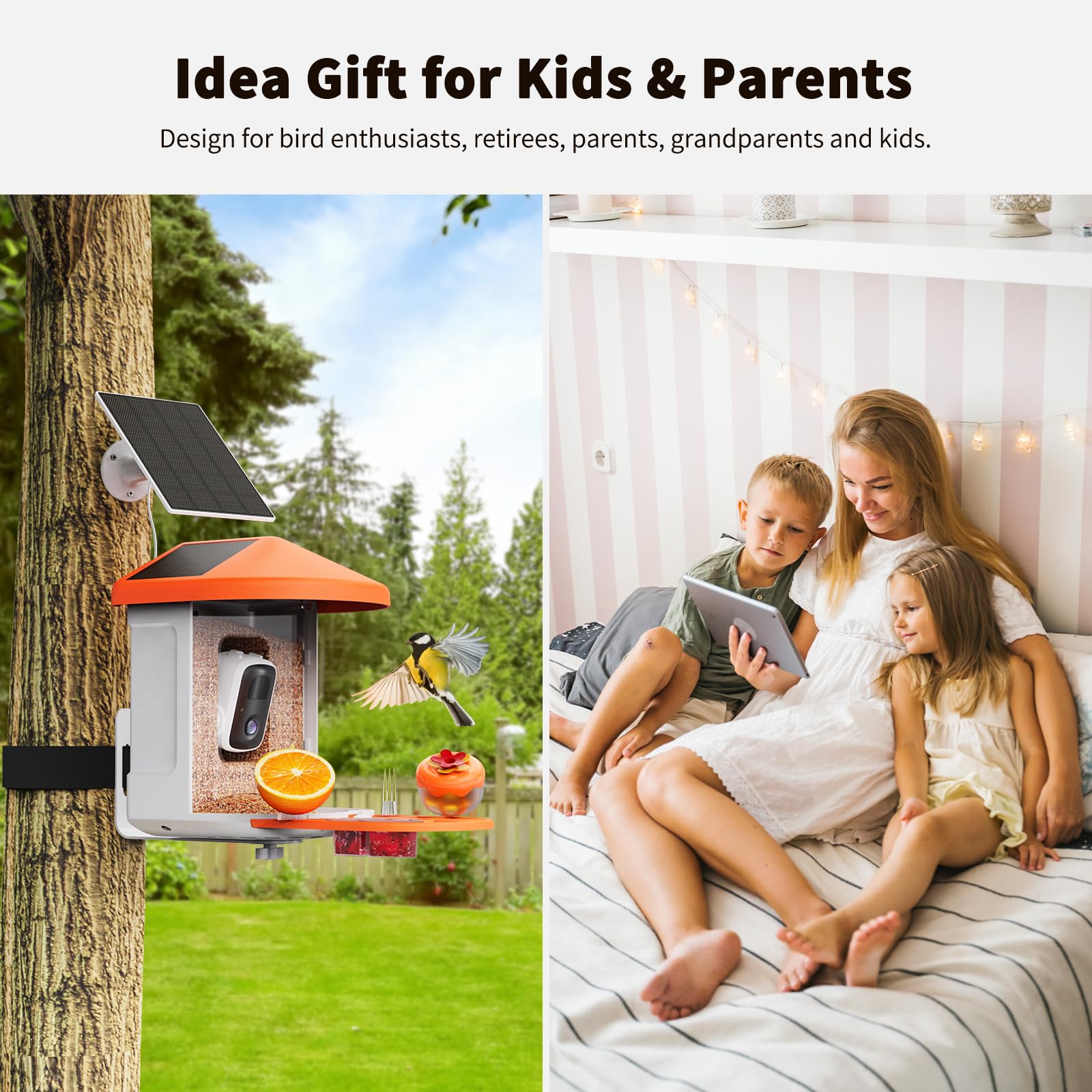 HARYMOR Cloud and local storage save bird clips for sharing.