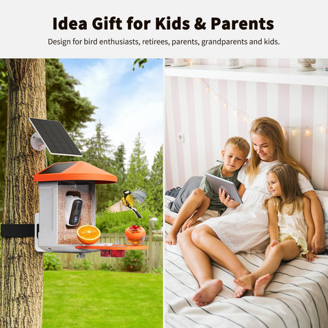 HARYMOR Cloud and local storage save bird clips for sharing.