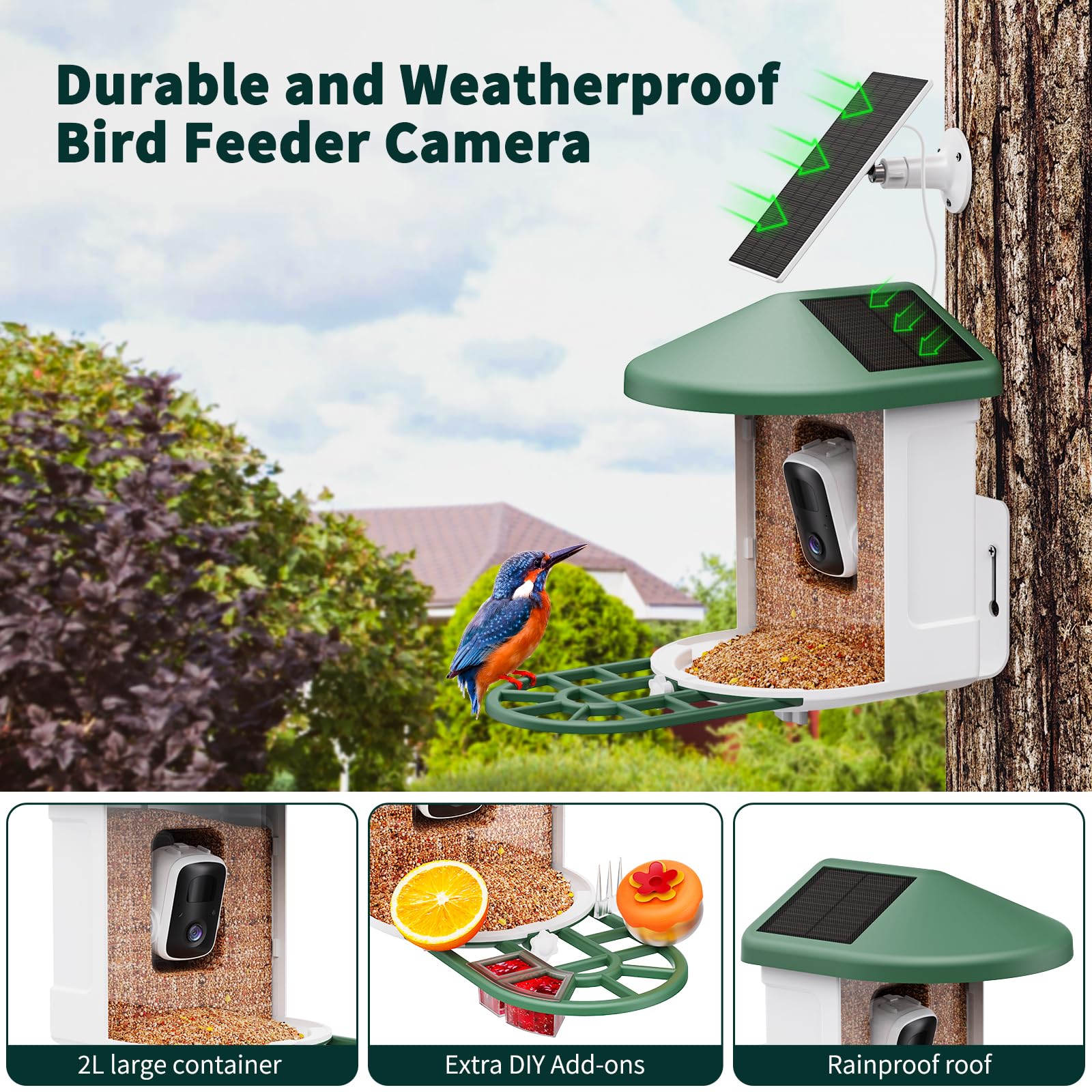HARYMOR live 2K video stream of visiting birds.