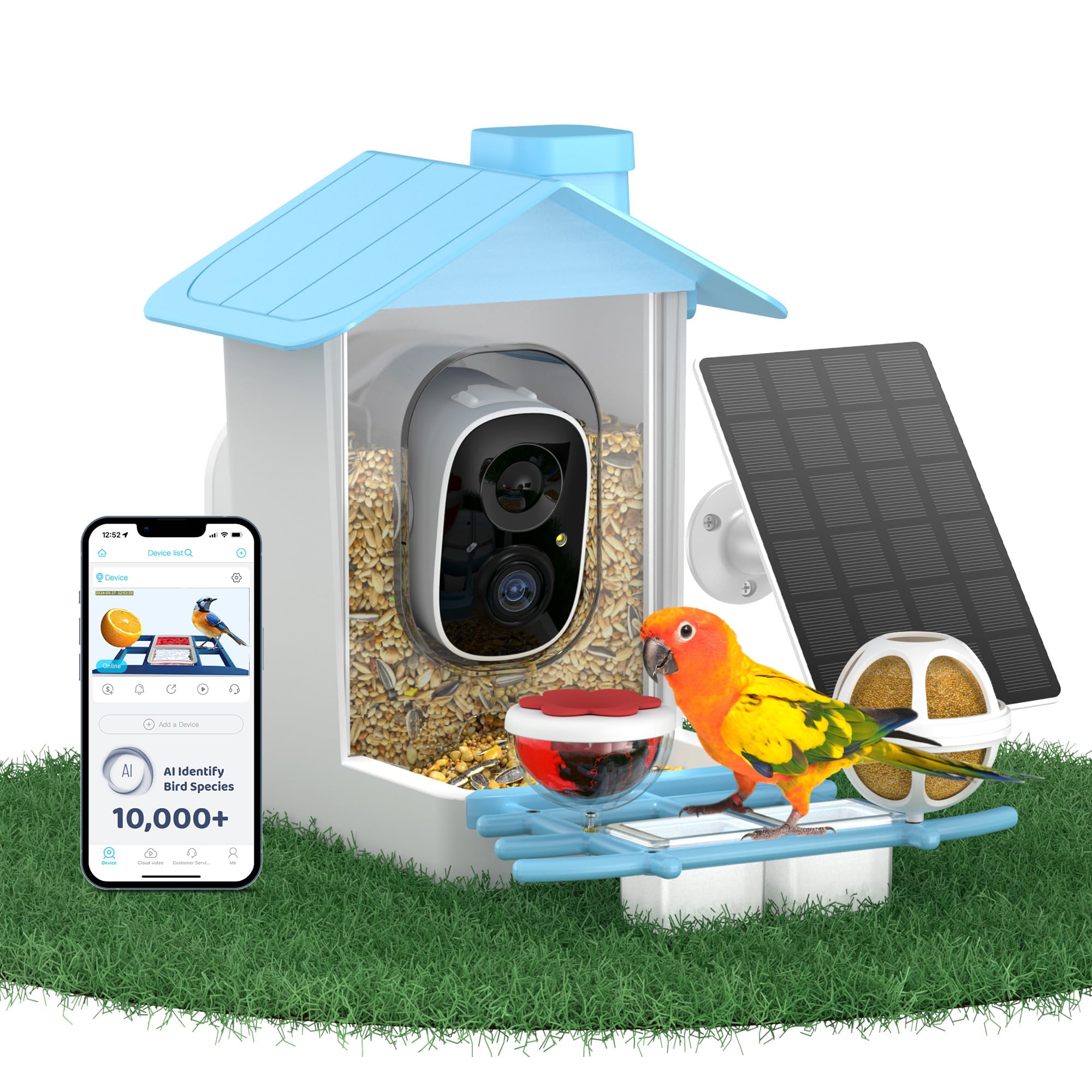 HARYMOR smart bird feeder camera 2K live view captures birds in sharp detail