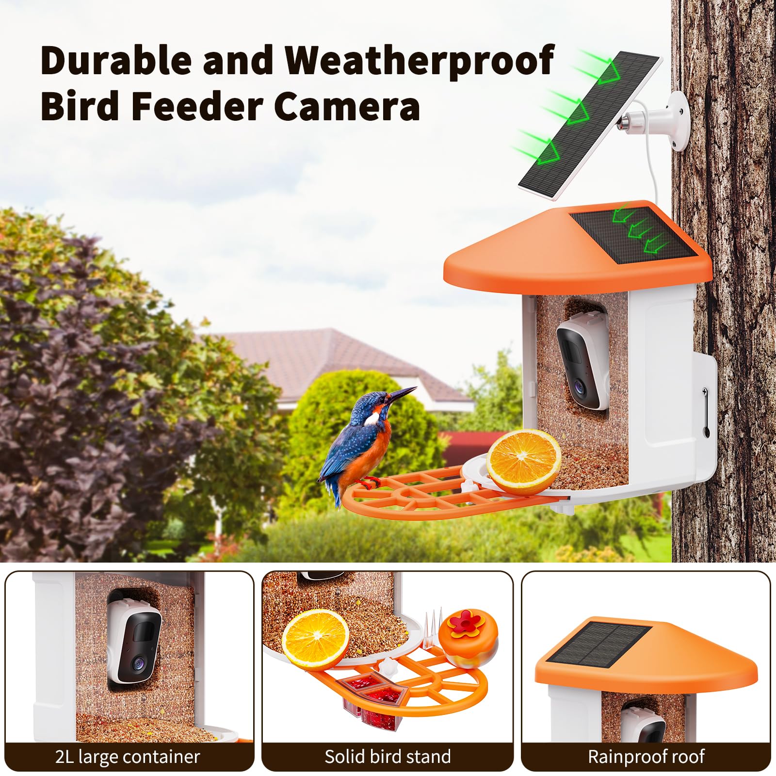 HARYMOR 120° wide-angle 2K camera for day and night bird watching.