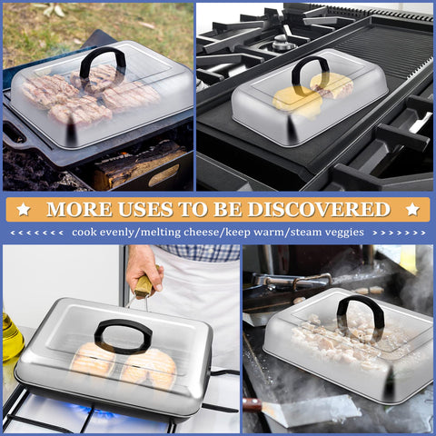 HaSteeL mirror-finish dome cleans easily on a busy kitchen counter