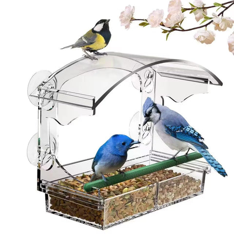 Hasuber window bird feeder with four suction cups keeps birds visible and securely attached.