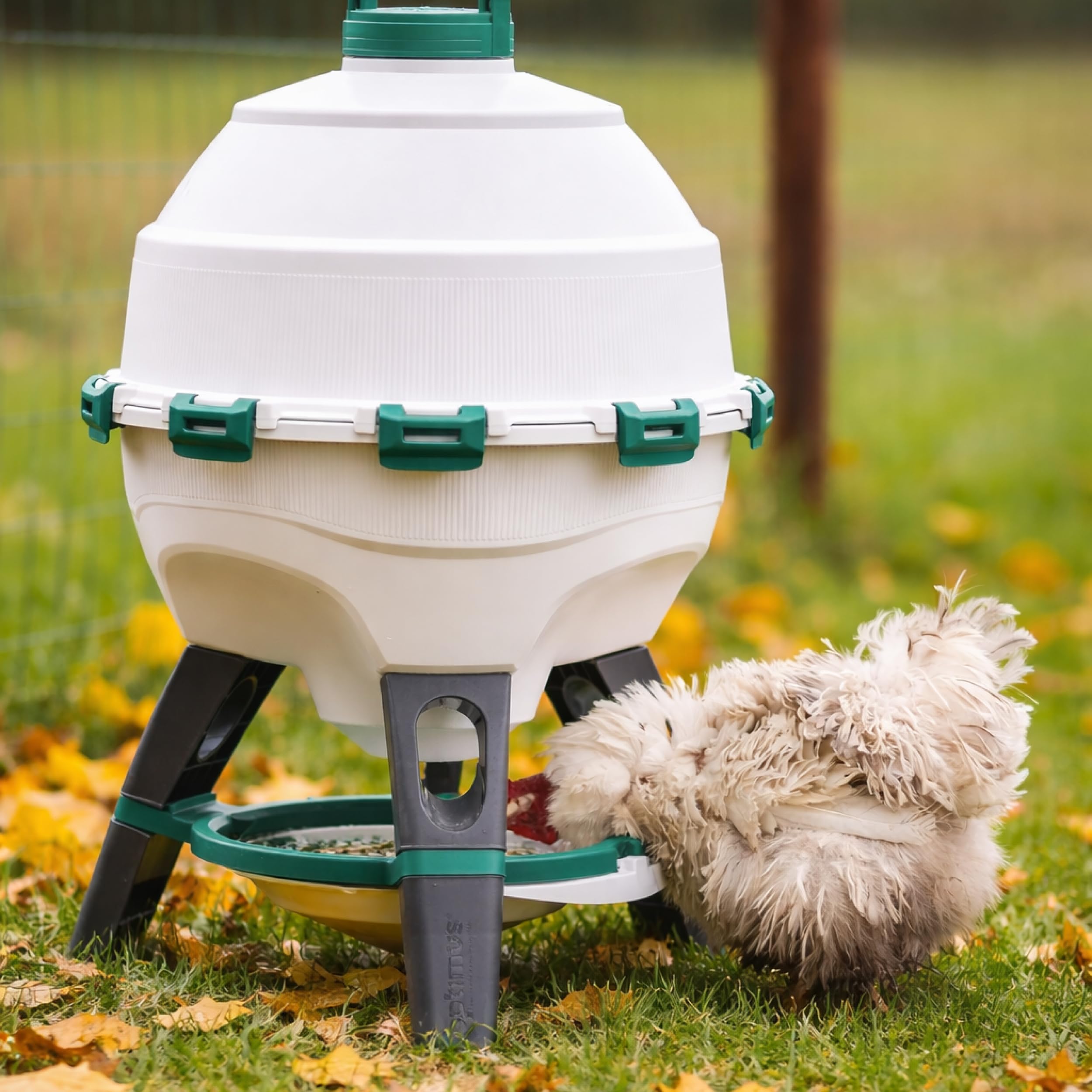 Hatching Time 6-gallon capacity supports up to 25 birds in a flock