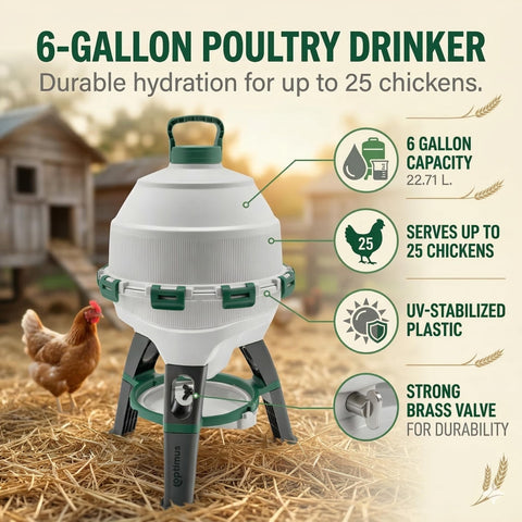 Hatching Time gravity-fed waterer shown in coop setting for consistent hydration