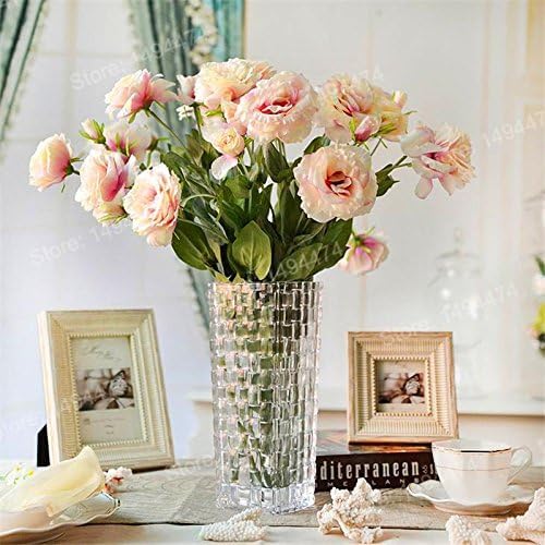HATCHMATIC eustoma seeds mixed 100pc sowing guide image for garden planning and success.