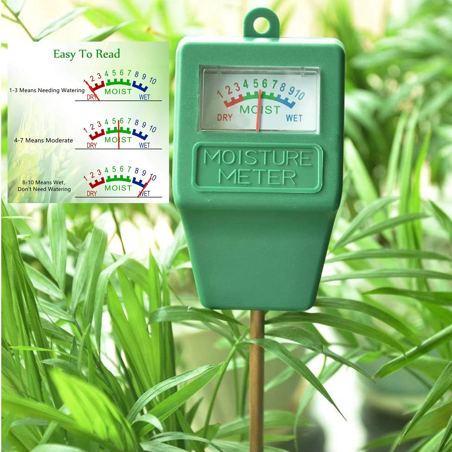 Hathdia dial reading close-up displaying moisture level instantly