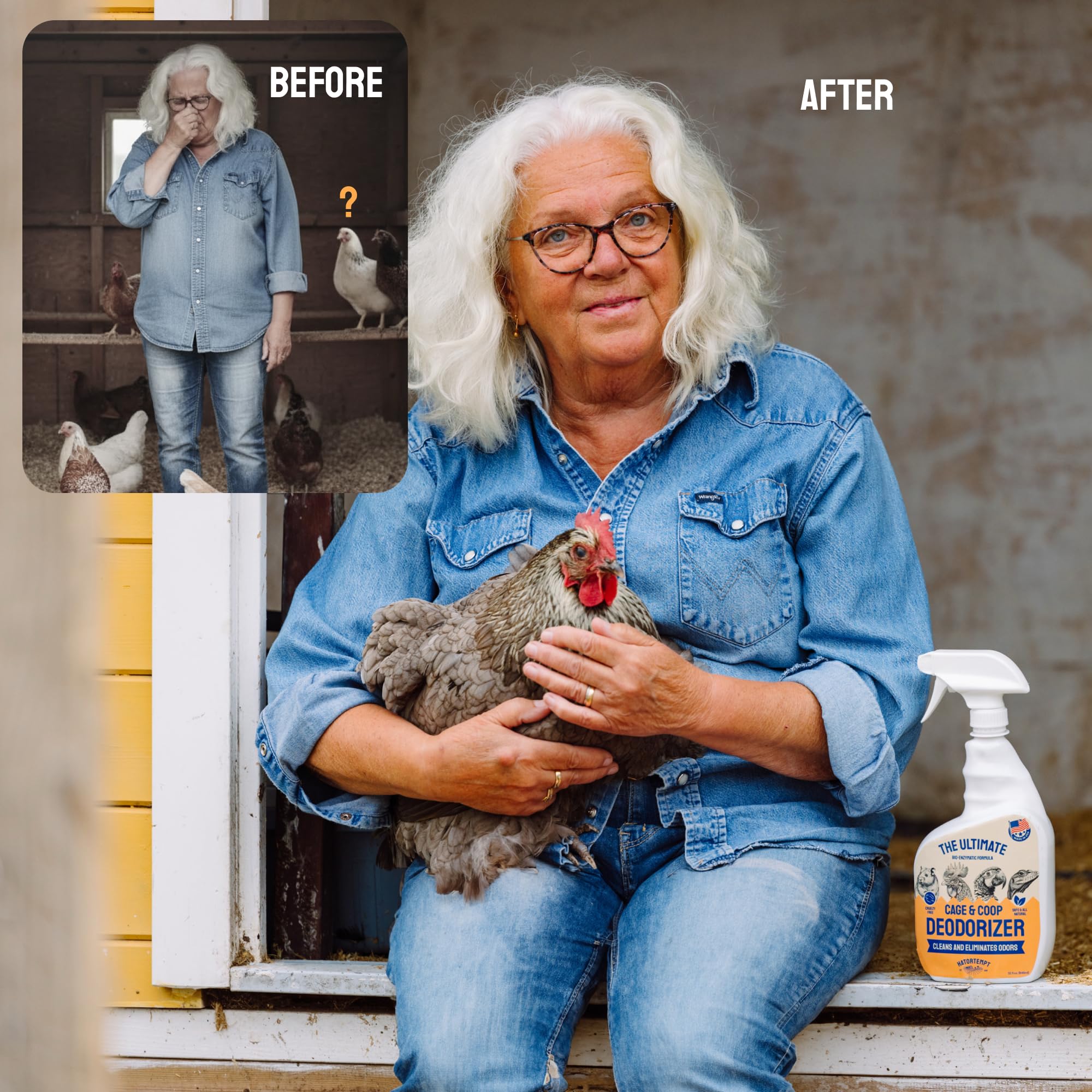 Hatortempt birds breathe easier image hints at improved air quality for flock.