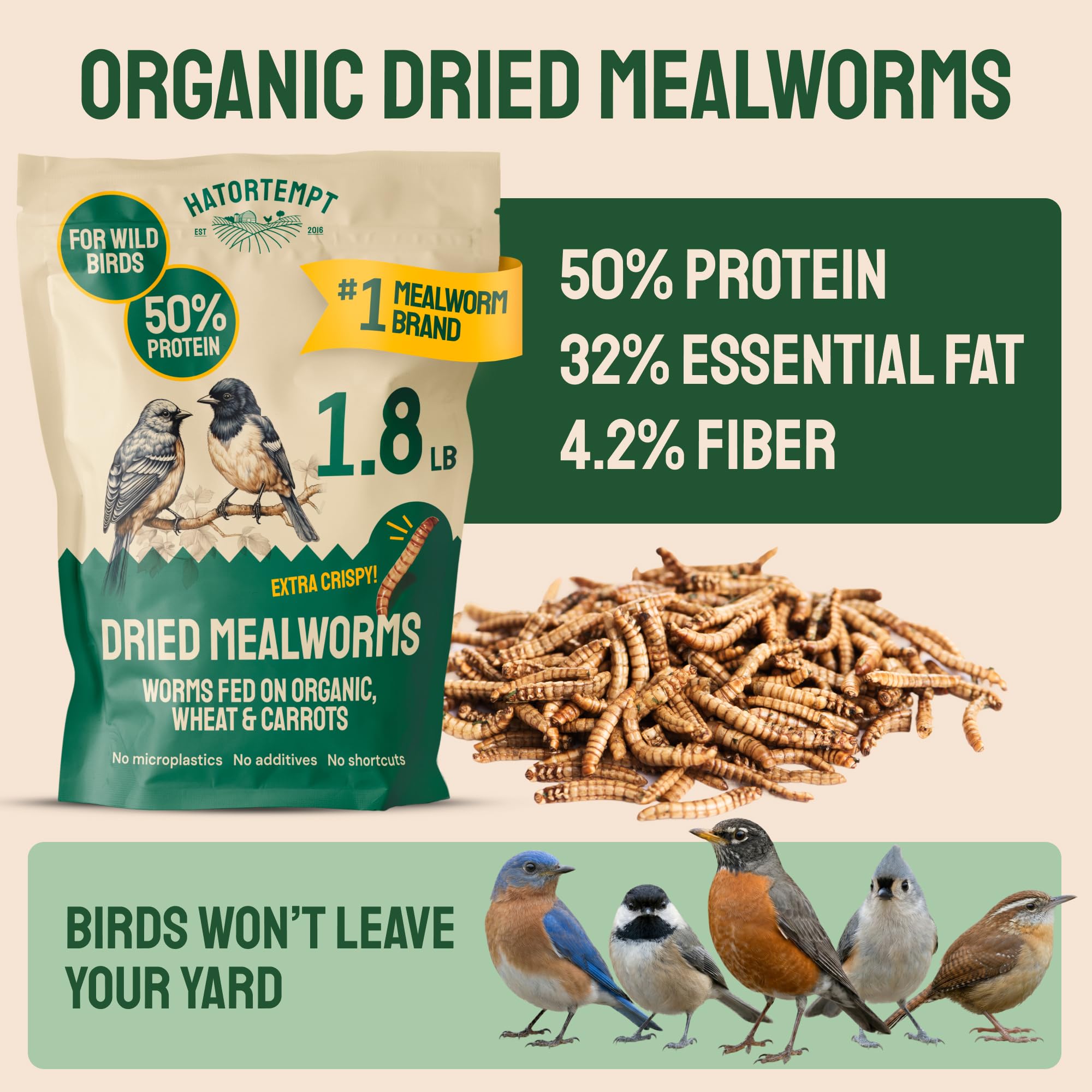 Hatortempt bluebird feeder mealworms attract energetic visitors with nutrition.