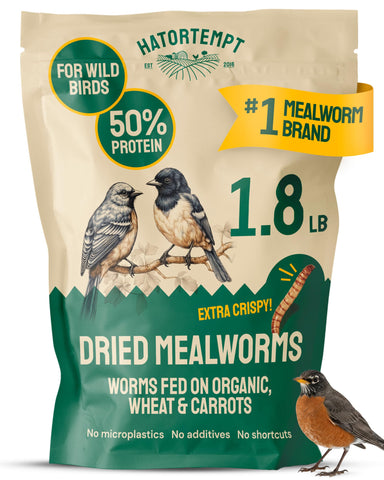 Hatortempt dried mealworms bag with resealable closure for long-lasting freshness.