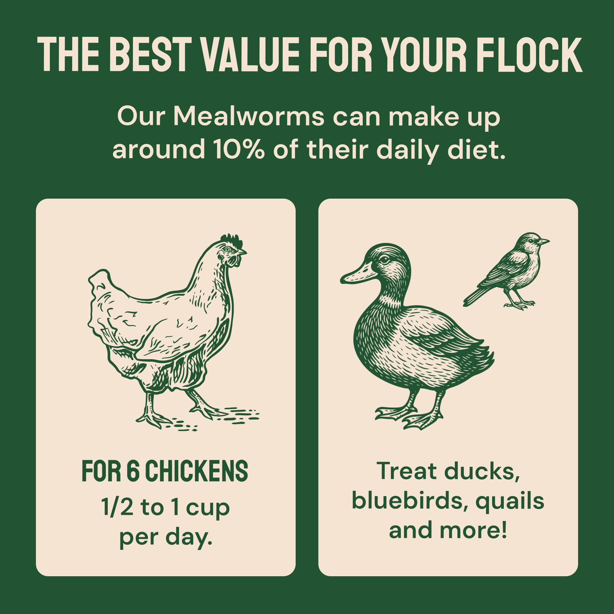 Hatortempt bulk storage-friendly bag keeps mealworms fresh for weeks.