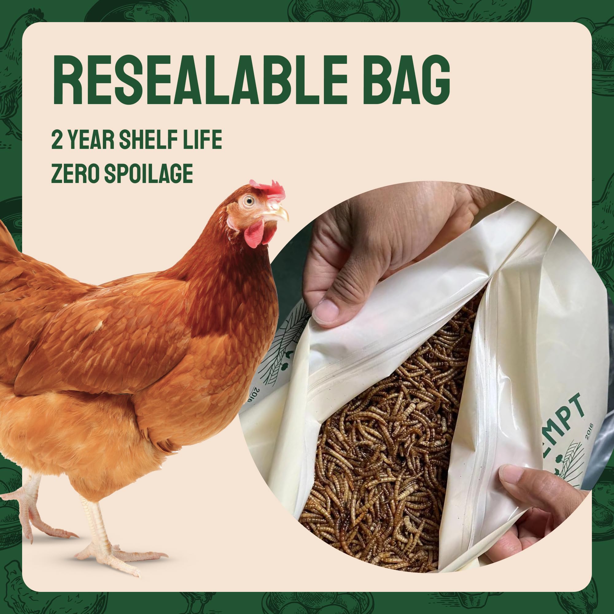 Hatortempt foraging-friendly mealworms train birds and poultry in enrichment.