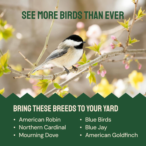 Hatortempt wild birds snack image to attract bluebirds and finches.