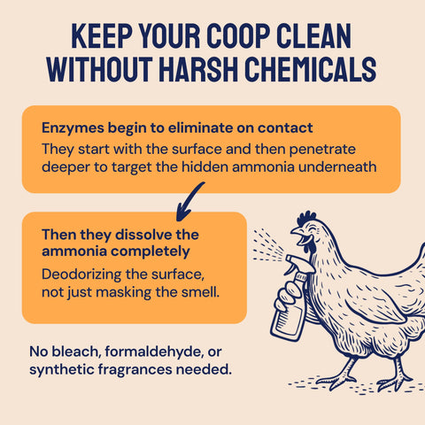 Hatortempt nesting boxes refresh highlights odor control in nesting areas.