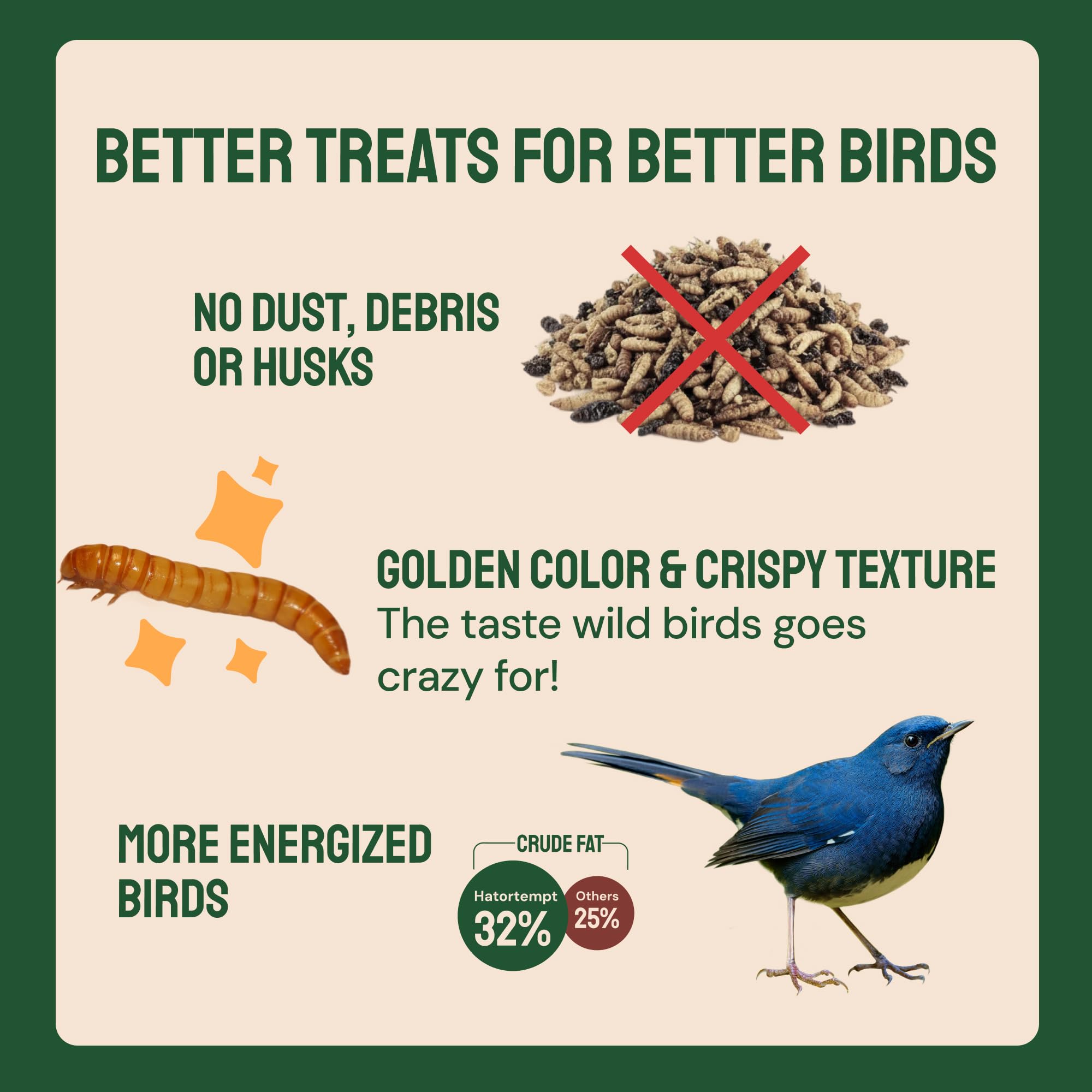 Hatortempt starlings feeding on protein-packed mealworms at a sunny feeder.
