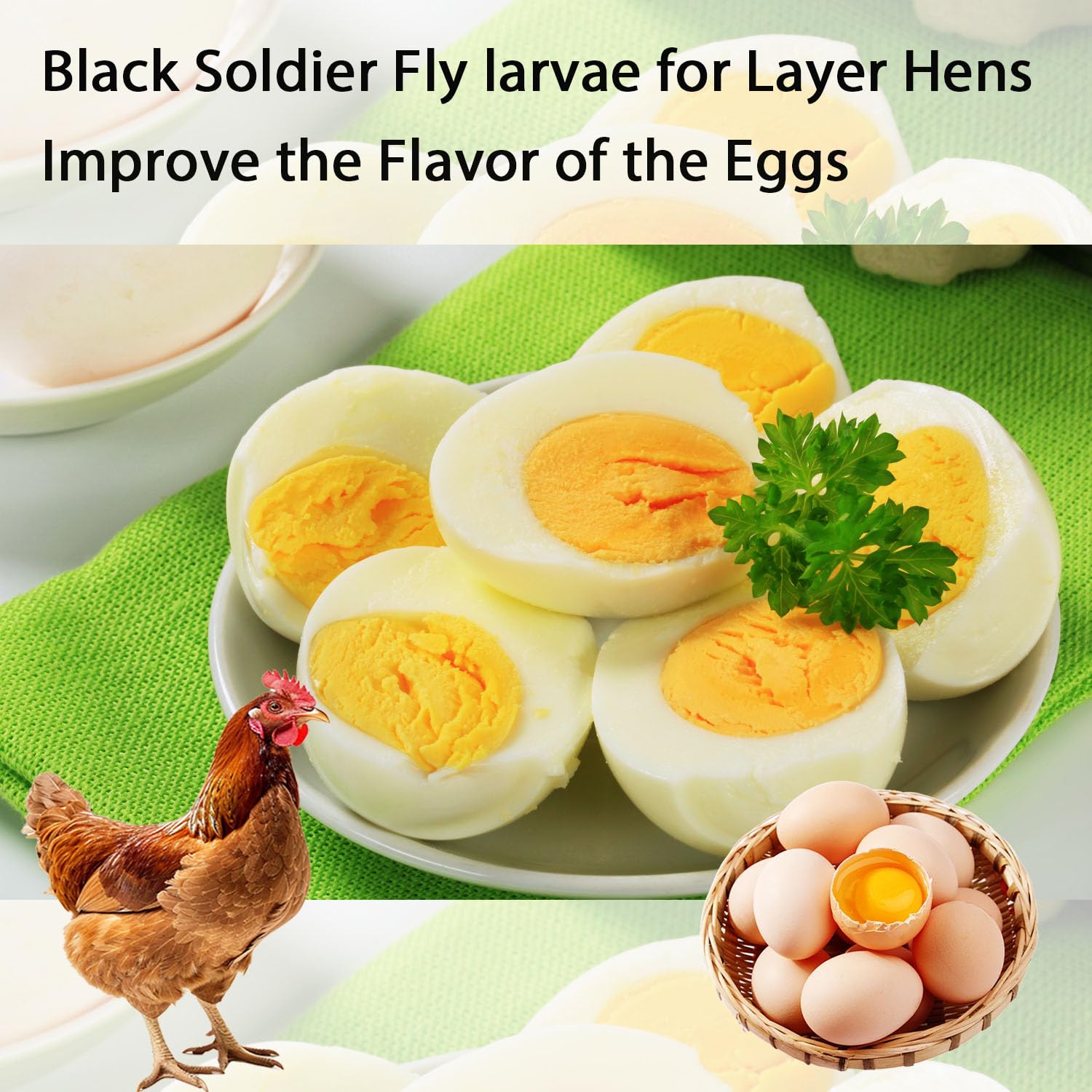 Hatortpet BSF larvae crisp texture for easy feeding