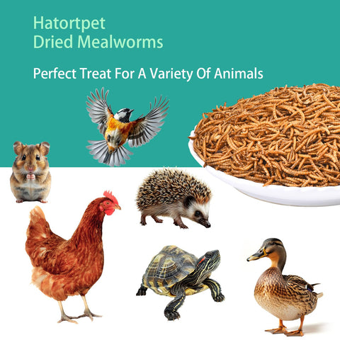 Hatortpet resealable bag packaging preserves freshness.