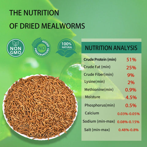 Hatortpet high-protein mealworms as a nourishing snack for chickens